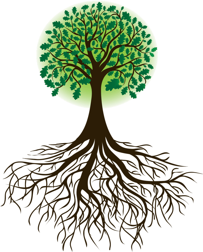 Tree With Roots Svg SVG