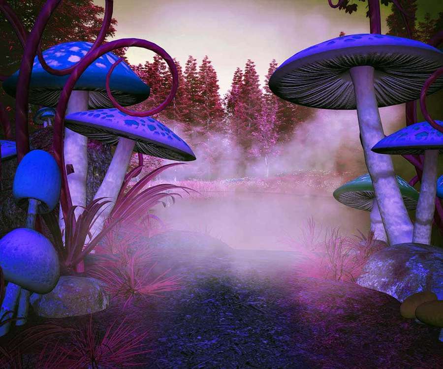 A mystical forest path lined with giant glowing mushrooms under a twilight sky. — Trippy Mushrooms Background
