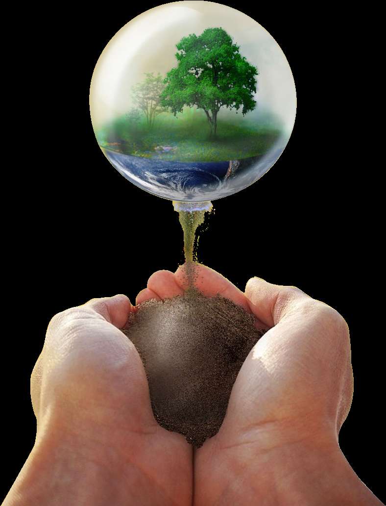 Zwei Hände halten Erde, aus der eine Glaskugel einen Wald wachsen lässt. — Trommelkraut Wallpaper