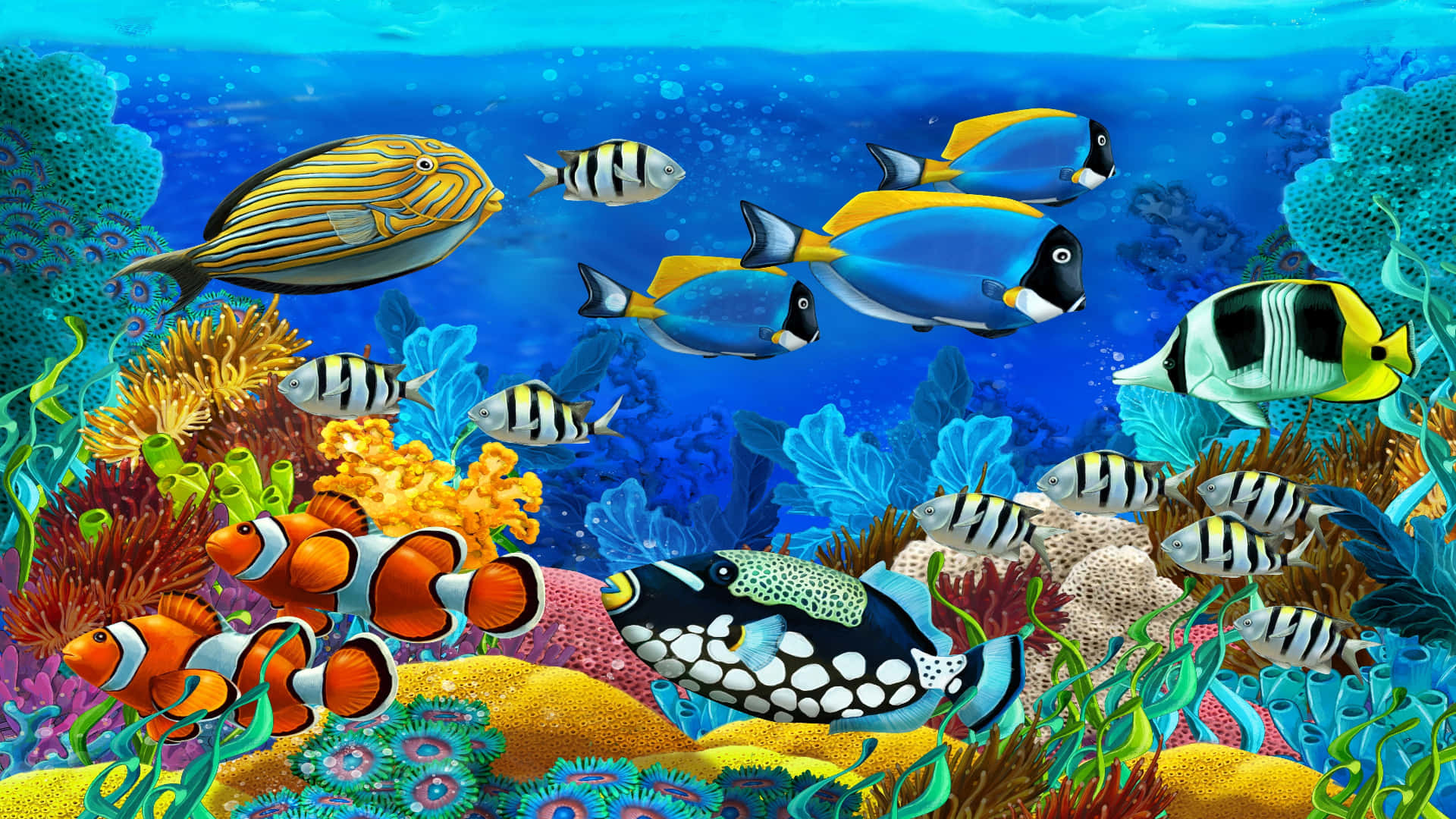 Colorful tropical fish swim among coral reefs in clear blue ocean water. — Tropical Fish Wallpaper
