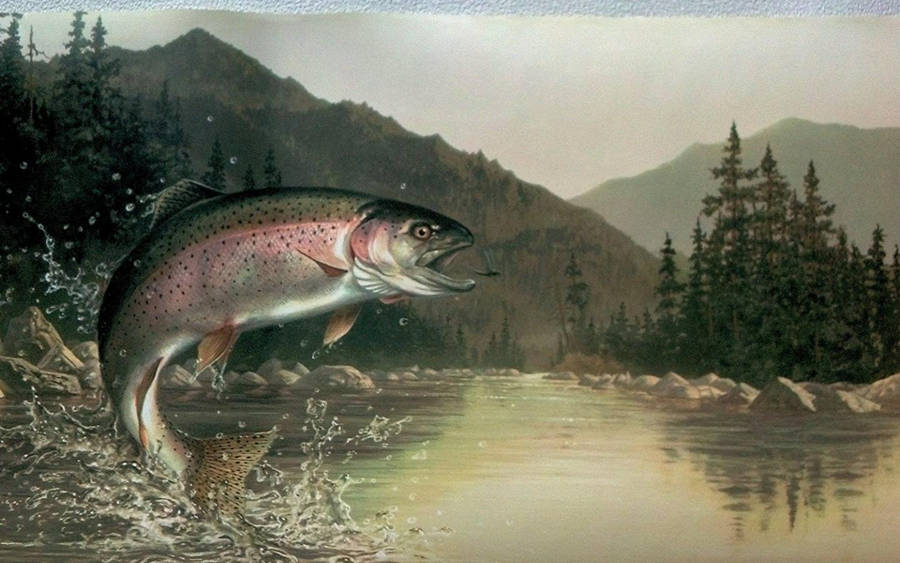 Trout Background Wallpaper
