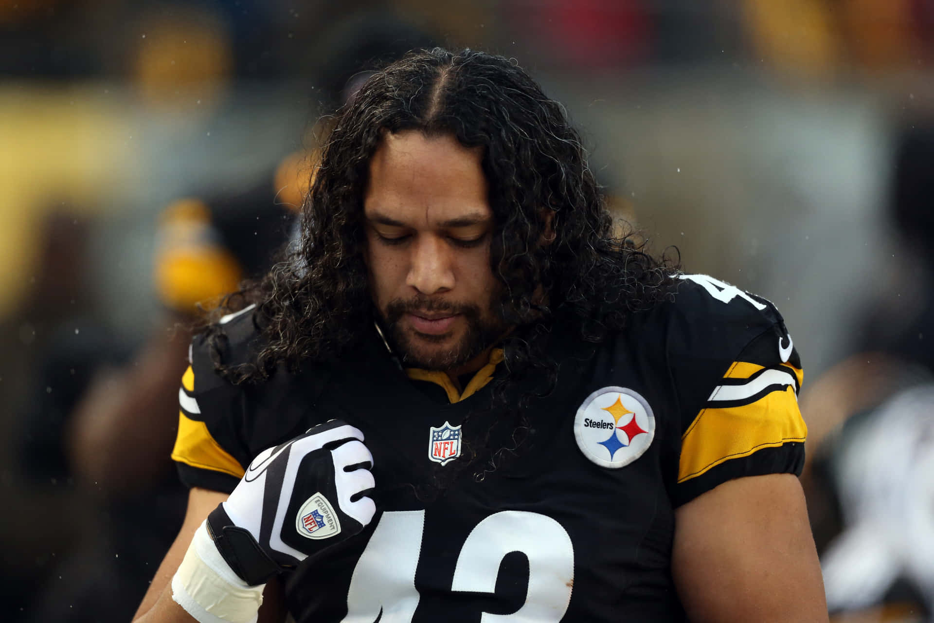 Troy Polamalu Achtergrond