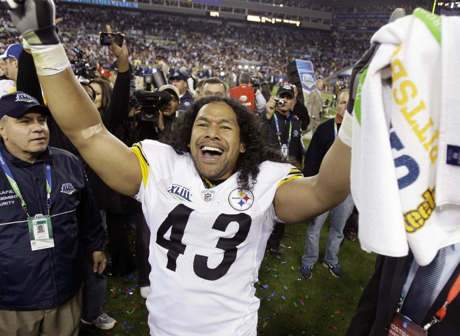 Troy Polamalu Fond d'écran