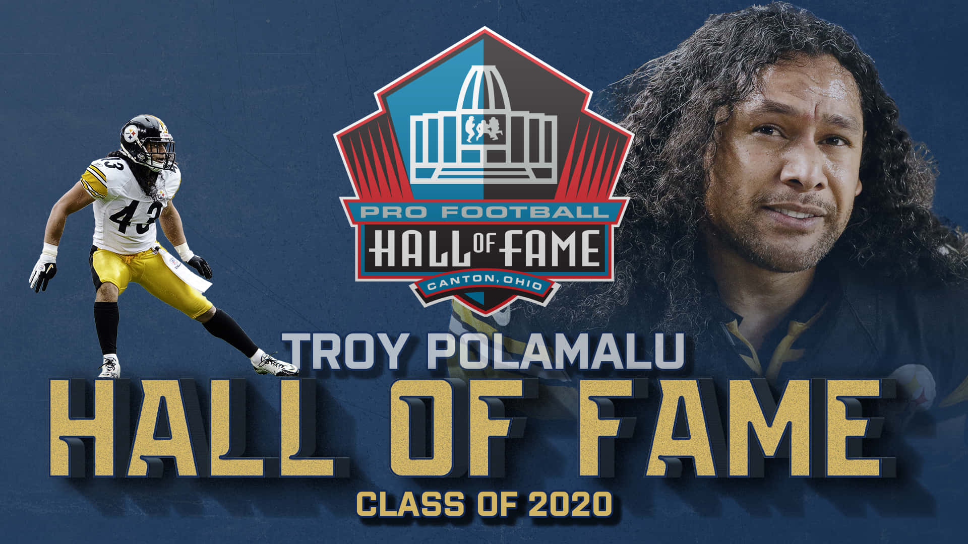 Troy Polamalu Taustakuva