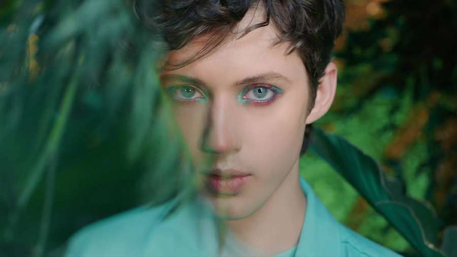Young person with blue eyes and teal makeup framed by green leaves. — Troye Sivan Picture