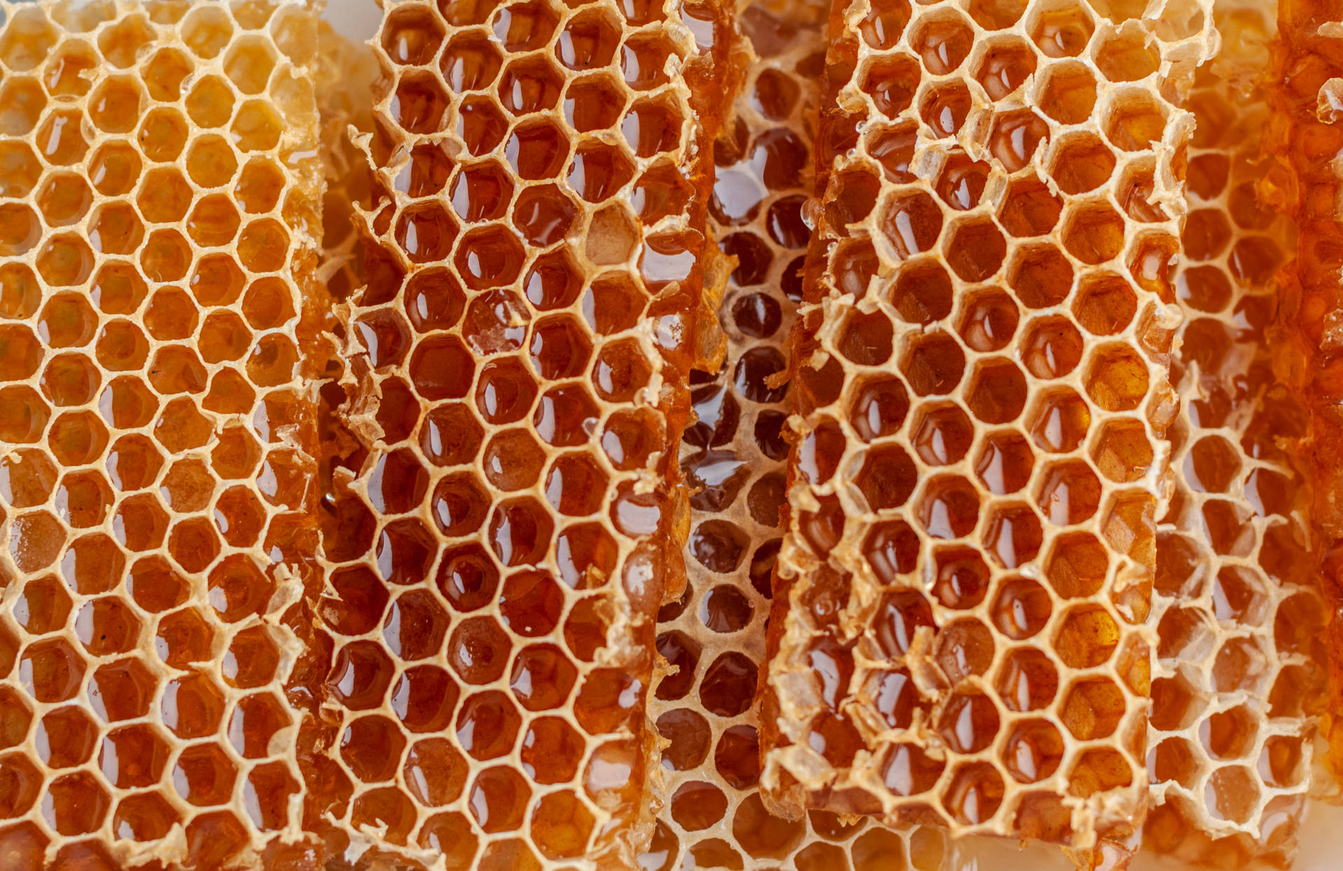 Black Comb color honeycomb HD phone wallpaper  Peakpx