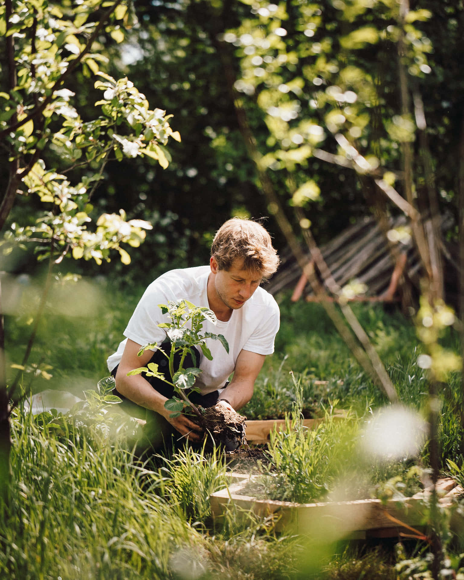 Tuin Fotografie Achtergrond