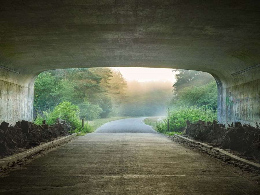 Eine Straße unter einer Betonbrücke, die bei Sonnenaufgang in einen nebligen Wald führt. — Tunnel Wallpaper