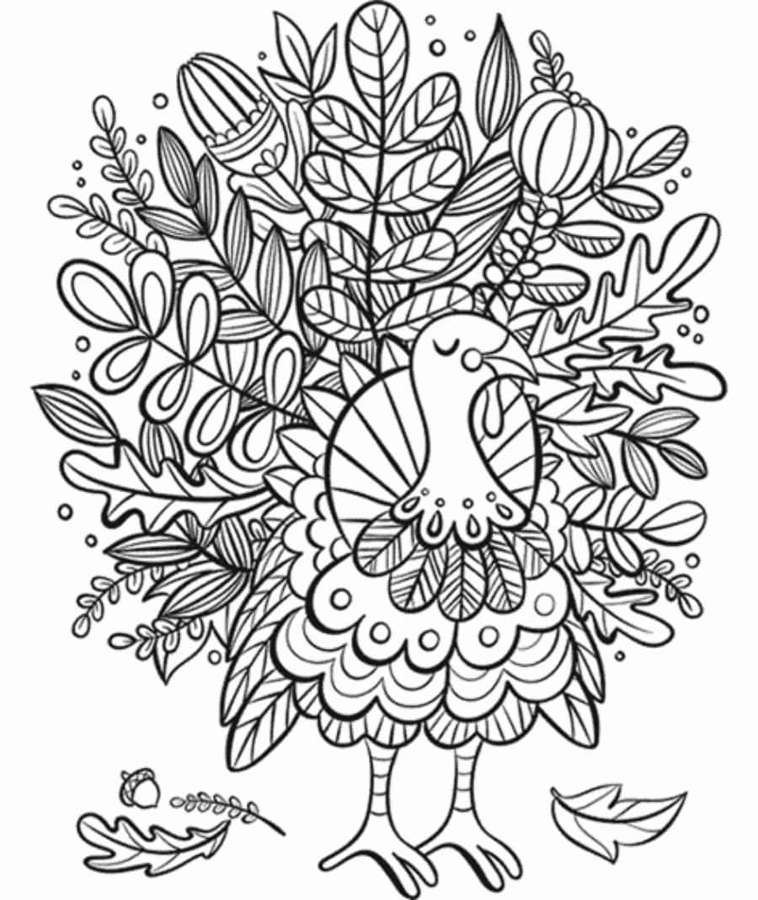 A turkey surrounded by autumn leaves and acorns in a line art style. — Turkey Coloring Picture