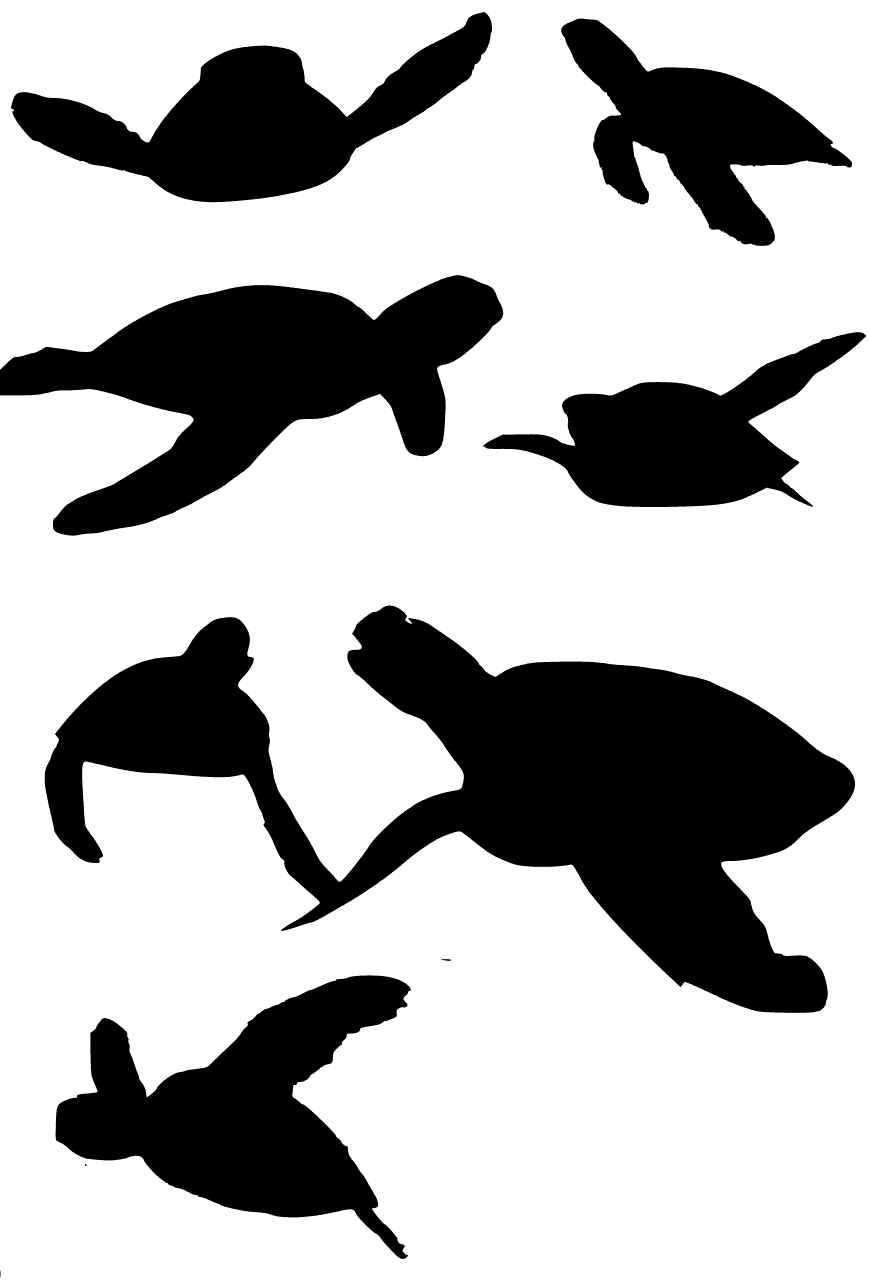 [100+] Turtle Svg Vector Graphics | Wallpapers.com