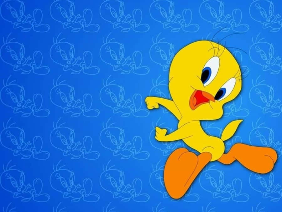 Tweety Bird Fond d'écran