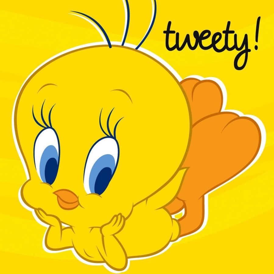 100+] Tweety Bird Pictures