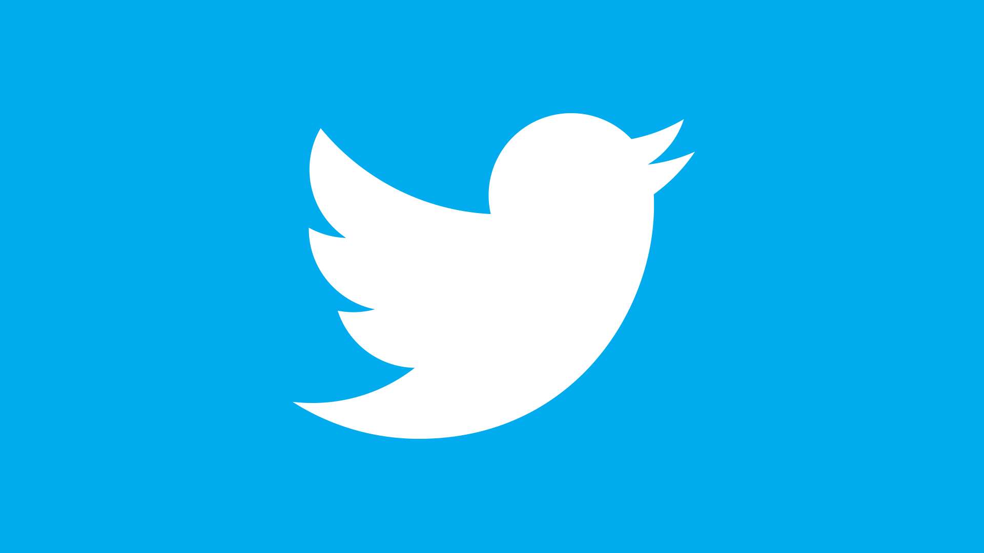 White Twitter bird logo on blue background — Twitter Background