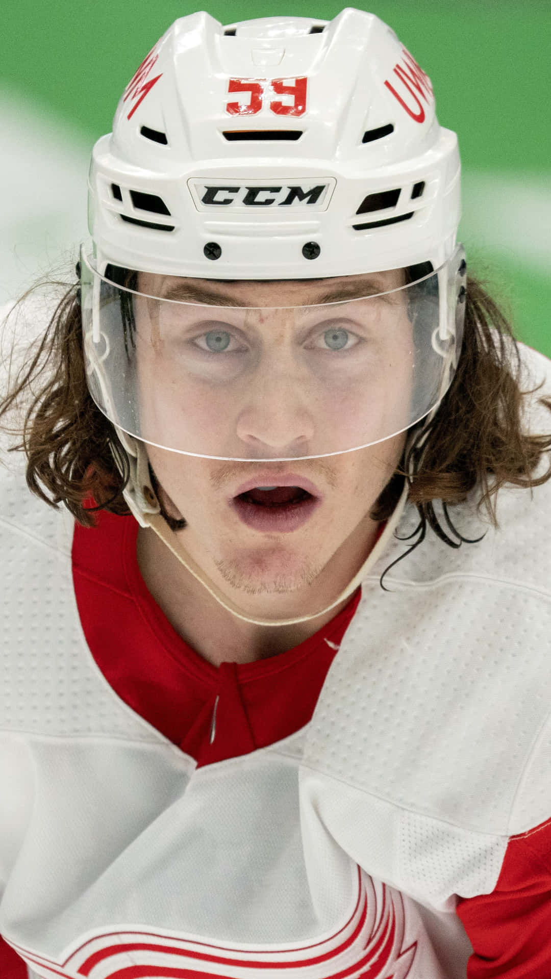 Tyler Bertuzzi Wallpaper