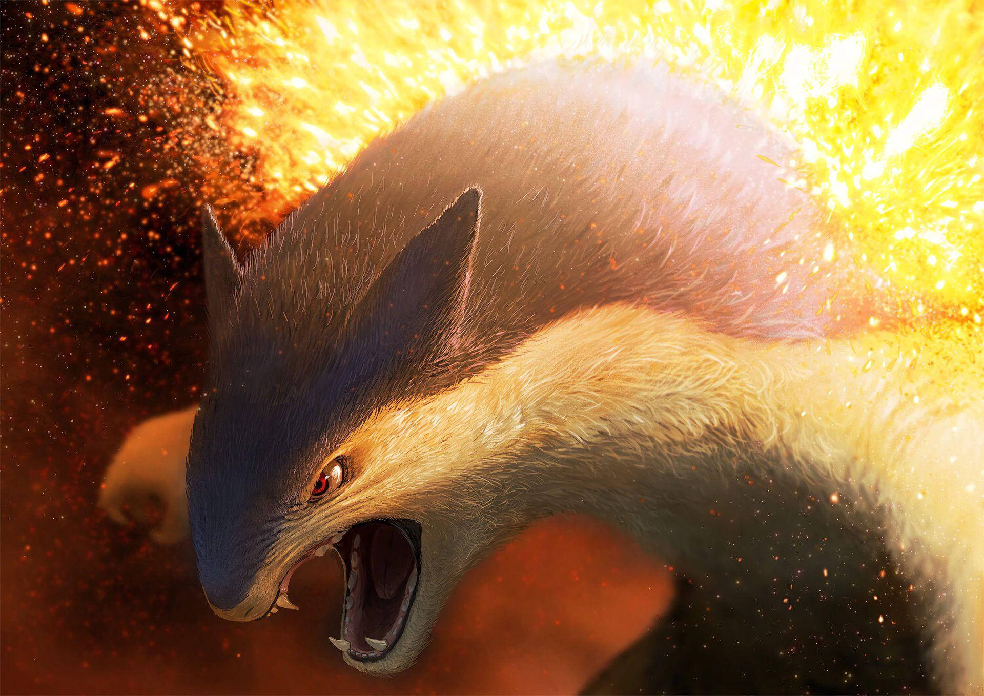 Typhlosion Pictures Wallpaper