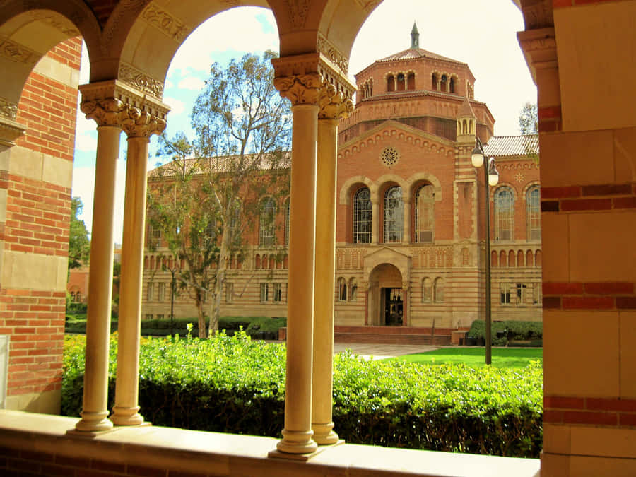 Ucla Campus Achtergrond