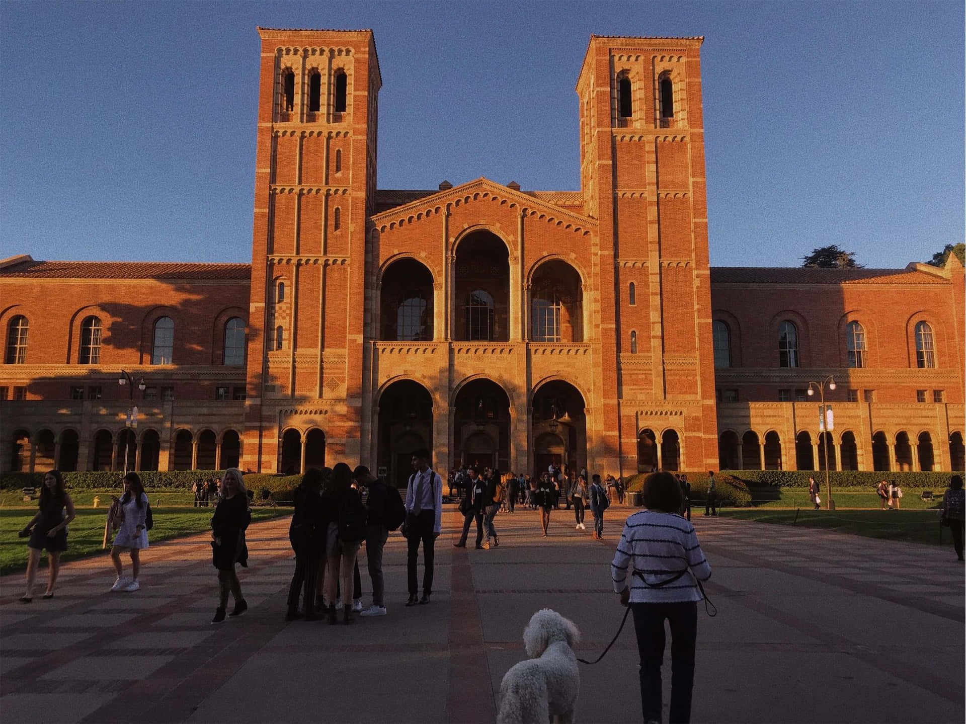Ucla Campus Pictures Wallpaper