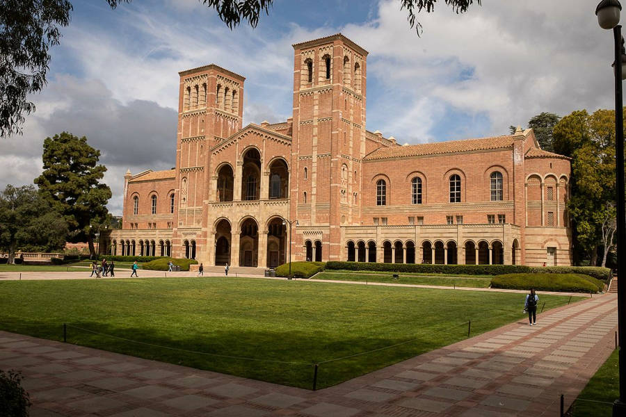 Ucla Pictures Wallpaper