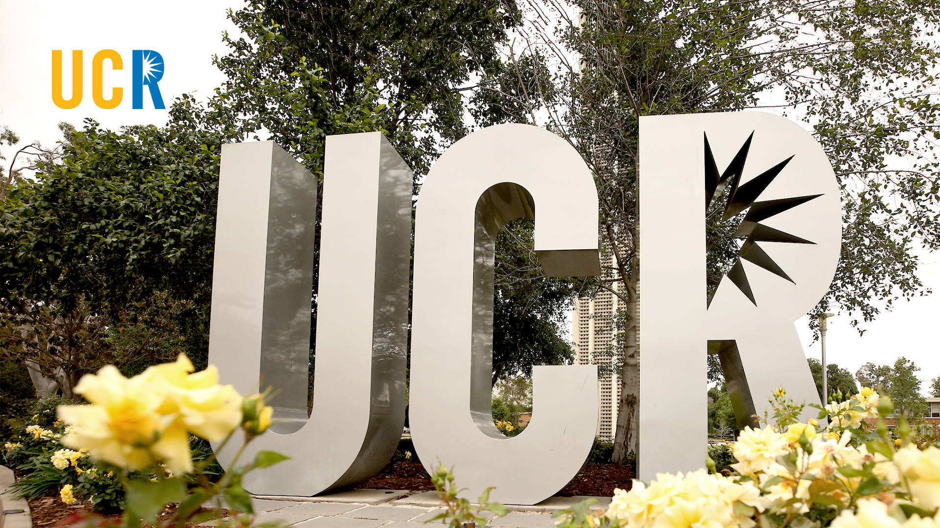 Ucr Pictures Wallpaper