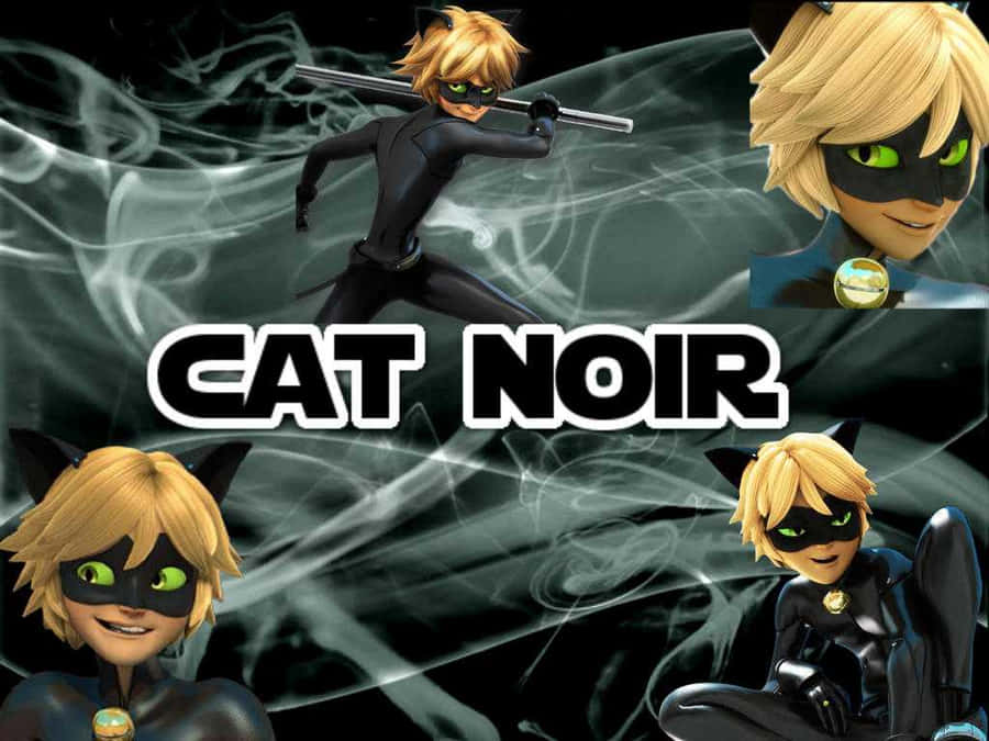 Free Chat Noir Wallpaper Downloads, [100+] Chat Noir Wallpapers for FREE |  