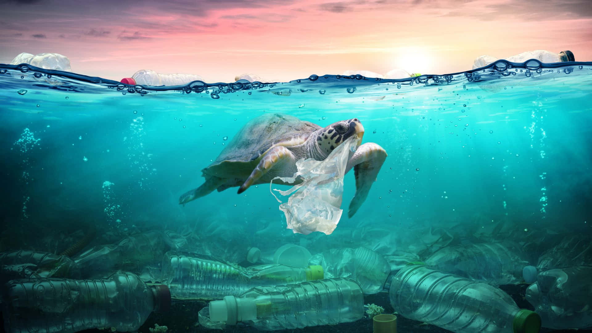 Underwater Ocean Pictures Wallpaper