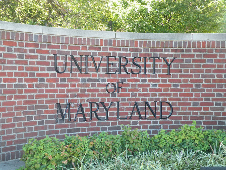 Universidad De Maryland Fondo de pantalla