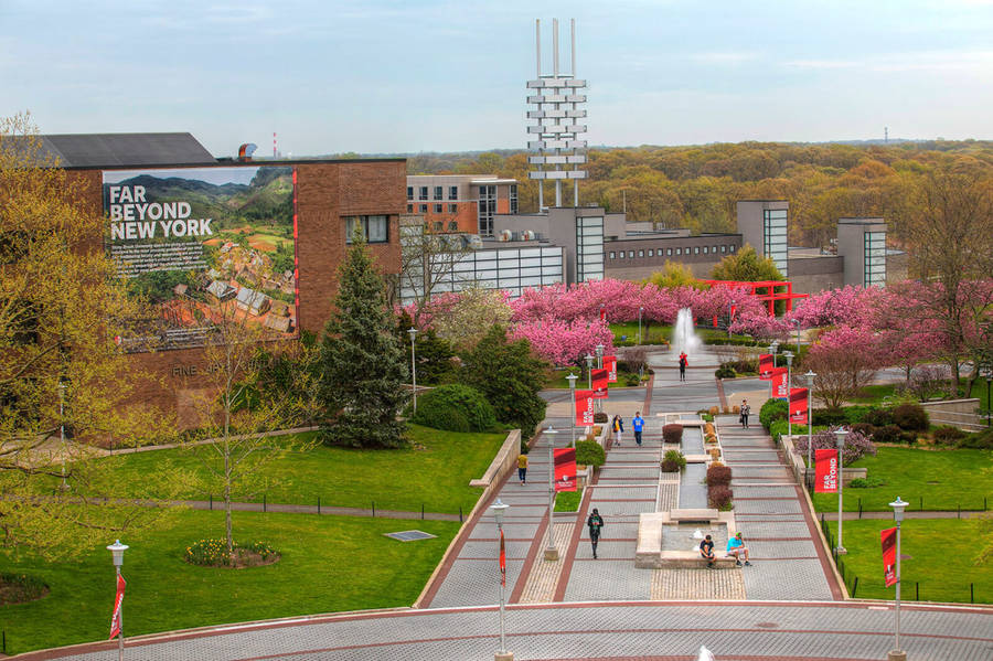 Université Stony Brook Fond d'écran