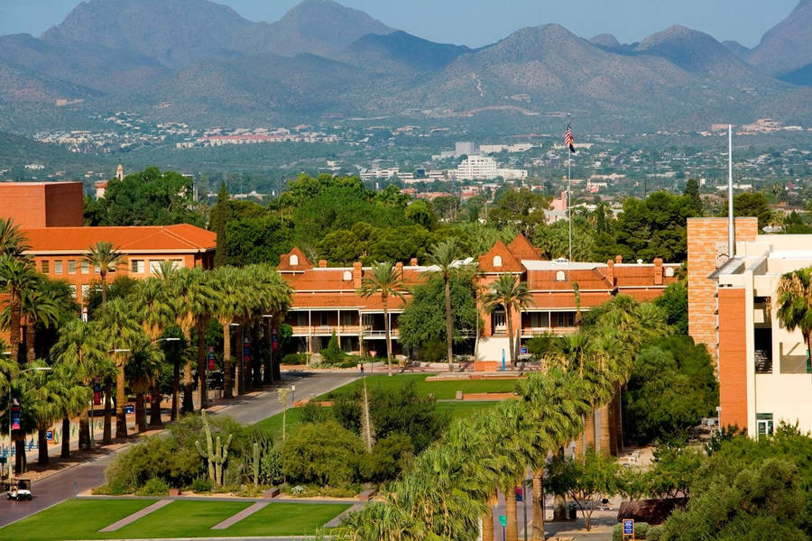 University Of Arizona Achtergrond