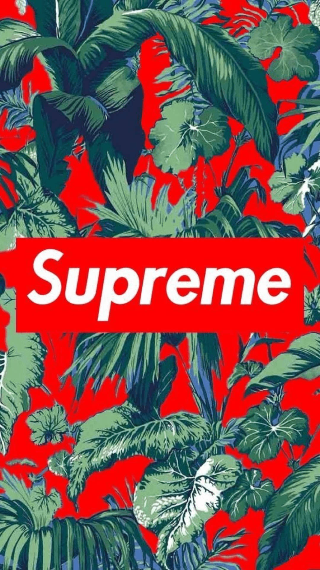 Cool Supreme Wallpapers  Top Free Cool Supreme Backgrounds   WallpaperAccess