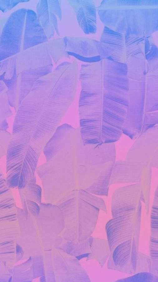 Tropische Bananenblätter in lila und rosa Farbverlauf abstraktes Tapeten. — Ursprüngliches iPhone Wallpaper