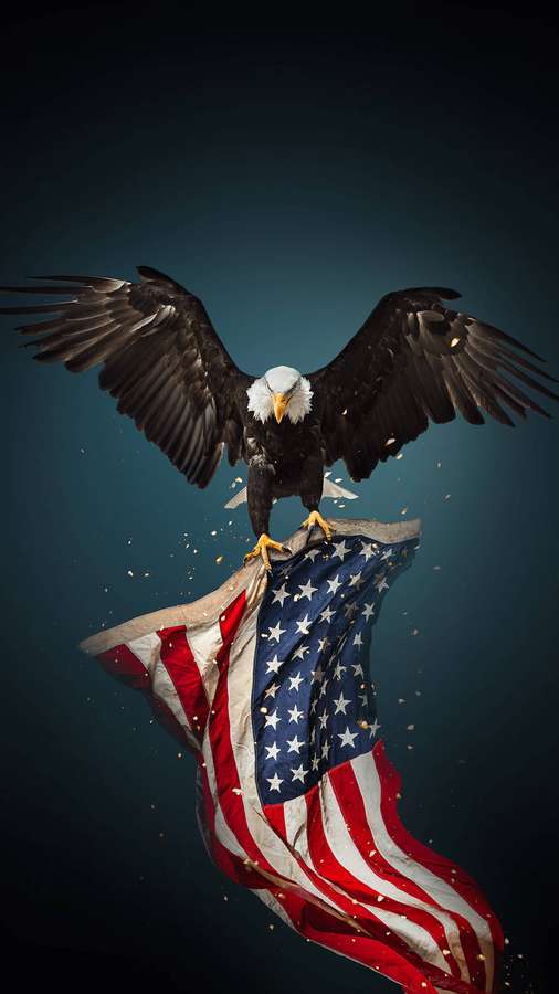 Weißkopfseeadler auf amerikanischer Flagge mit ausgebreiteten Flügeln. — USA flagge iPhone Wallpaper