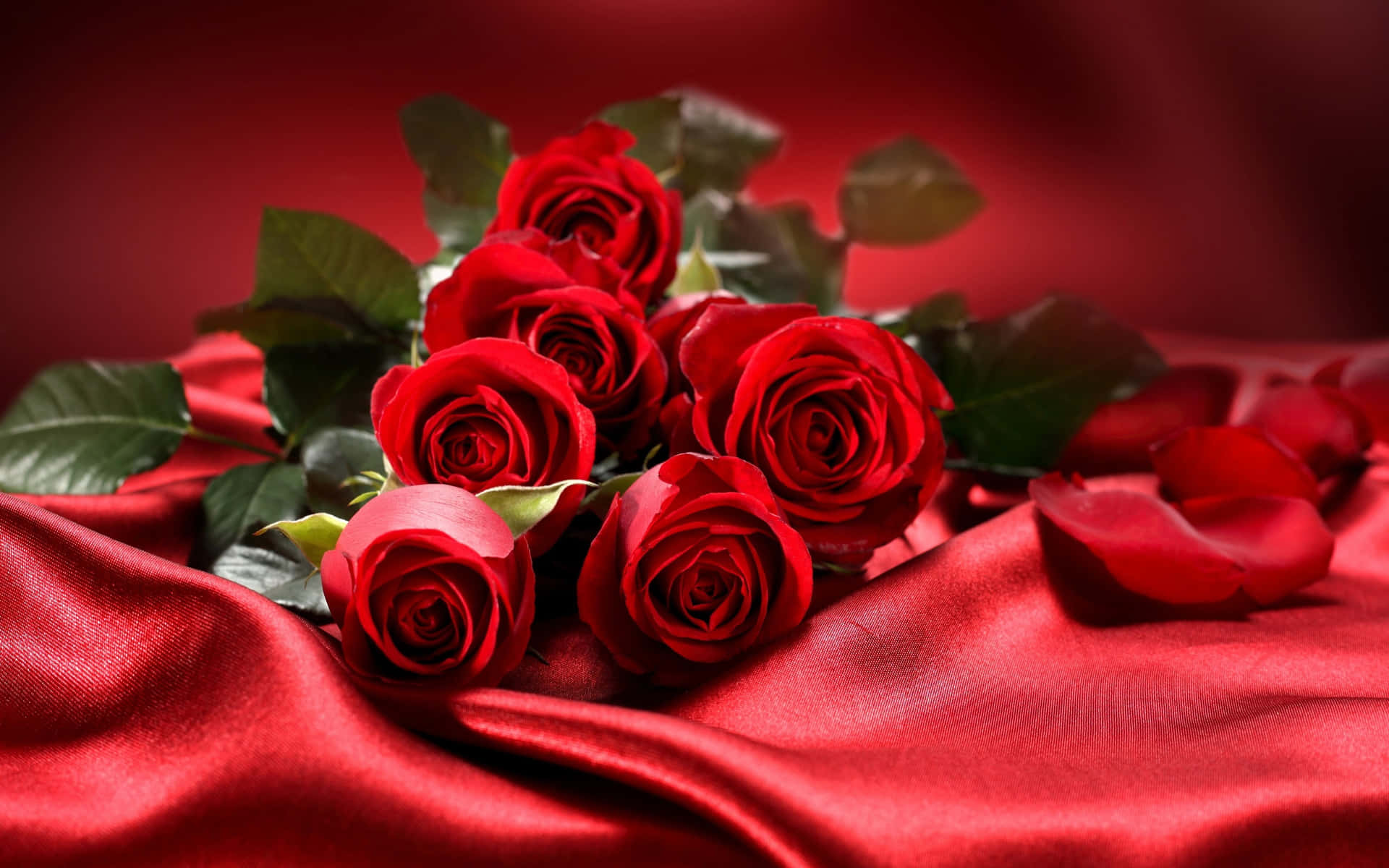 Valentines Day Pictures Wallpaper