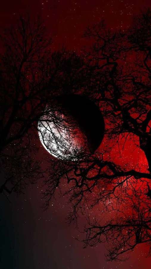 Kahle Äste rahmen einen leuchtenden Mond vor einem blutroten Nachthimmel mit Sternen ein. — Vampir ästhetik Wallpaper