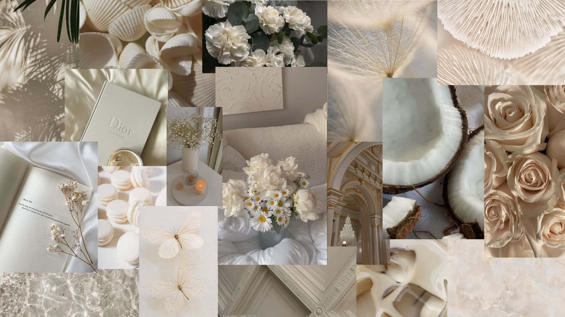 Beige og hvid æstetisk collage med blomster, skaller og luksusgenstande. — Vanilla Aesthetic Wallpapers