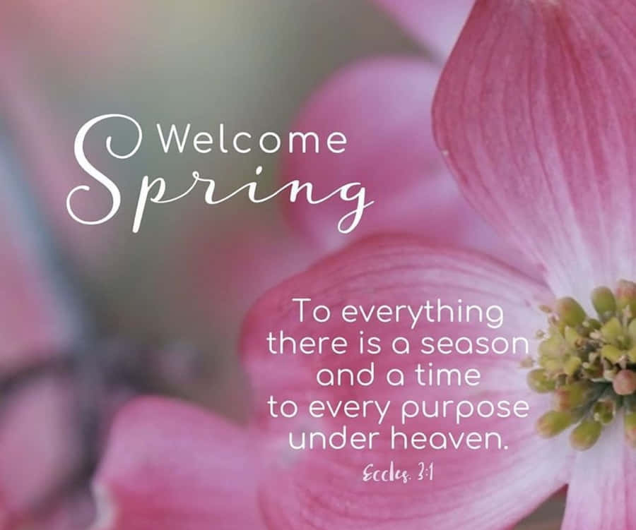 Vår Inspirerende Bakgrunnsbildet