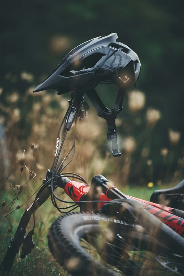 Vélo De Montagne Spécialisé Fond d'écran