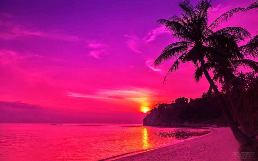 Rosa und lila Sonnenuntergang über einem Strand mit Palmen, die sich gegen den Himmel abzeichnen. — Vibe Bilder