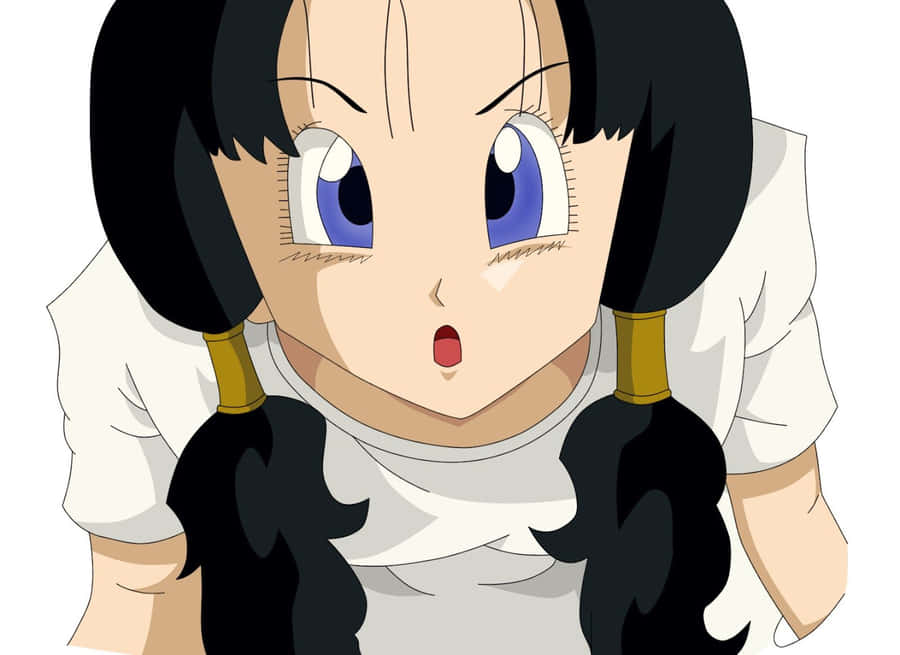 Videl Achtergrond