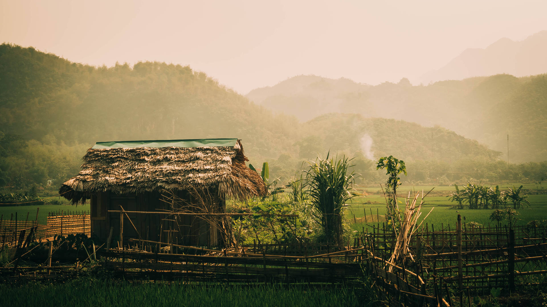 Vietnam Sfondo