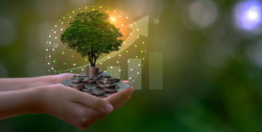 Kädet pitävät kolikoita, joista kasvaa puu, ja digitaalinen kasvukaavio. — Vihreä rahoitus Taustakuvat