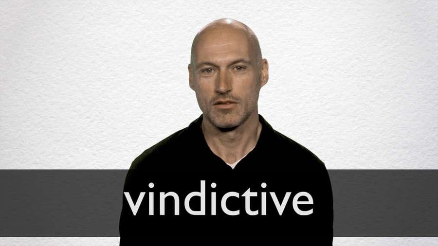 A bald man in a black shirt with the word vindictive displayed across his chest. — Vindictive Picture