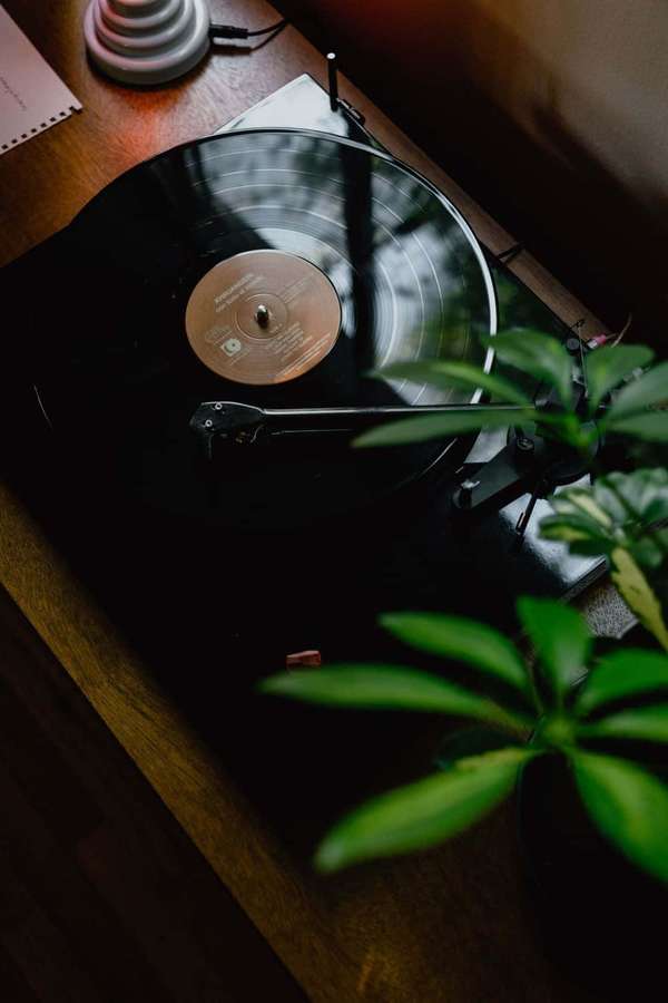 Vinyl record spinning on turntable next to green plant on wooden table — Vinyl Record Wallpaper