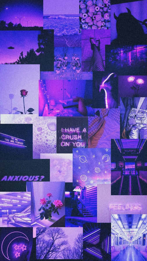 Violette Collage Bilder