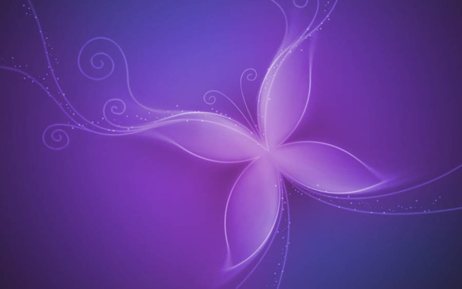 Violetter Schmetterling Bilder
