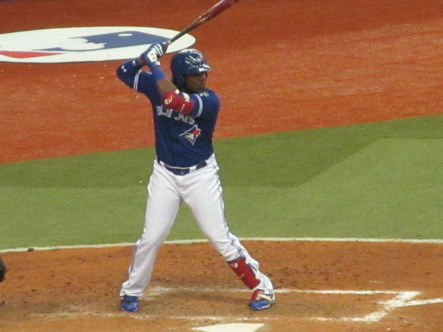 Vladimir Guerrero Jr Achtergrond