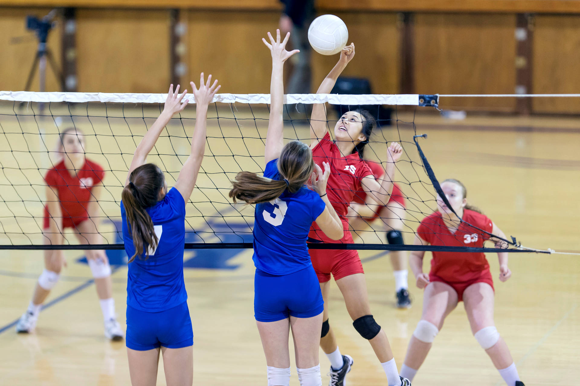 Volleybal Achtergrond