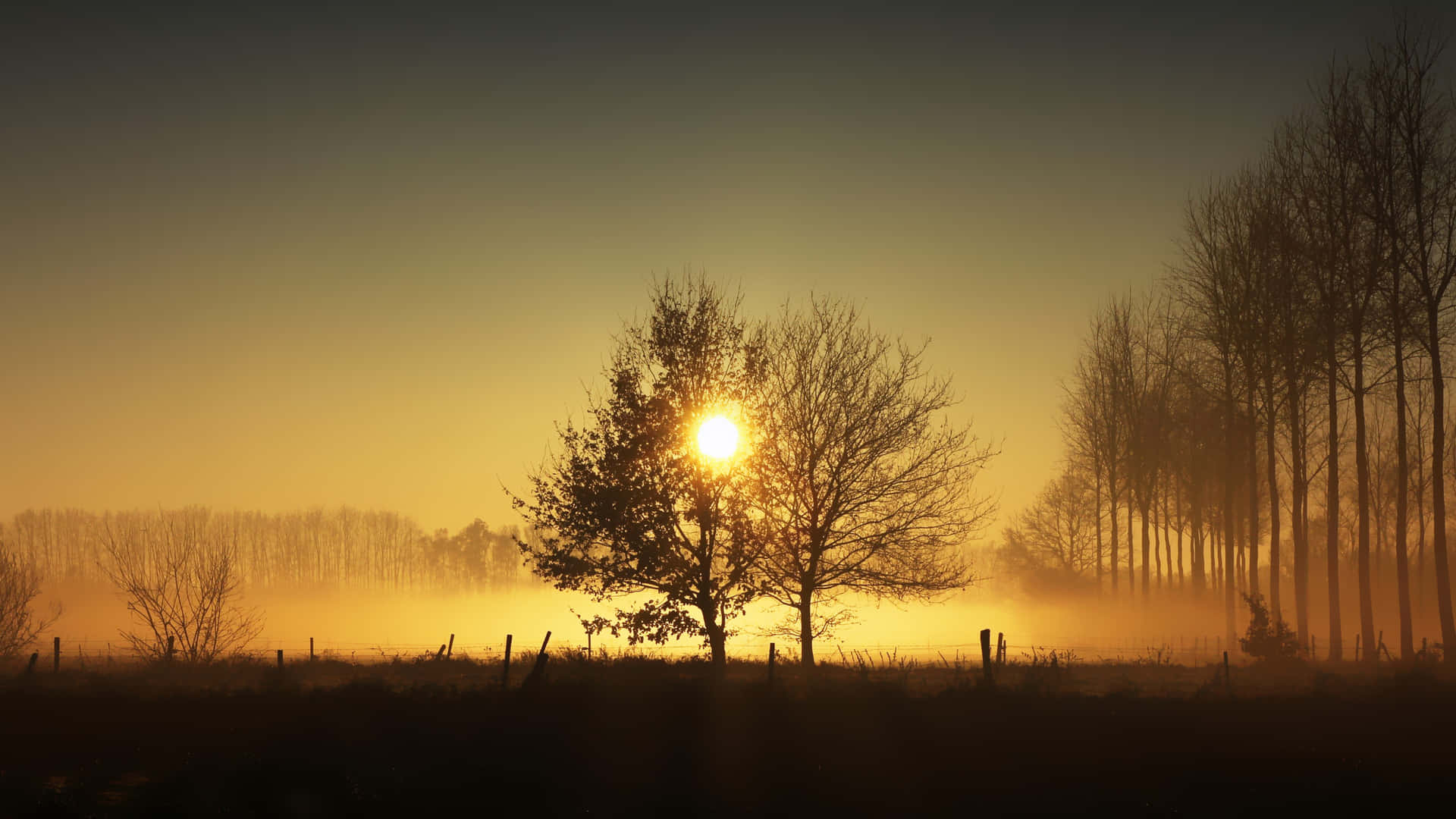 Voorbijgaand Achtergrond