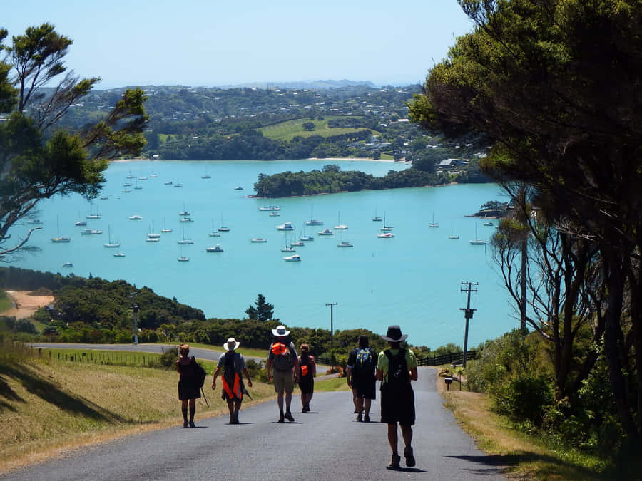 Waiheke Island Achtergrond