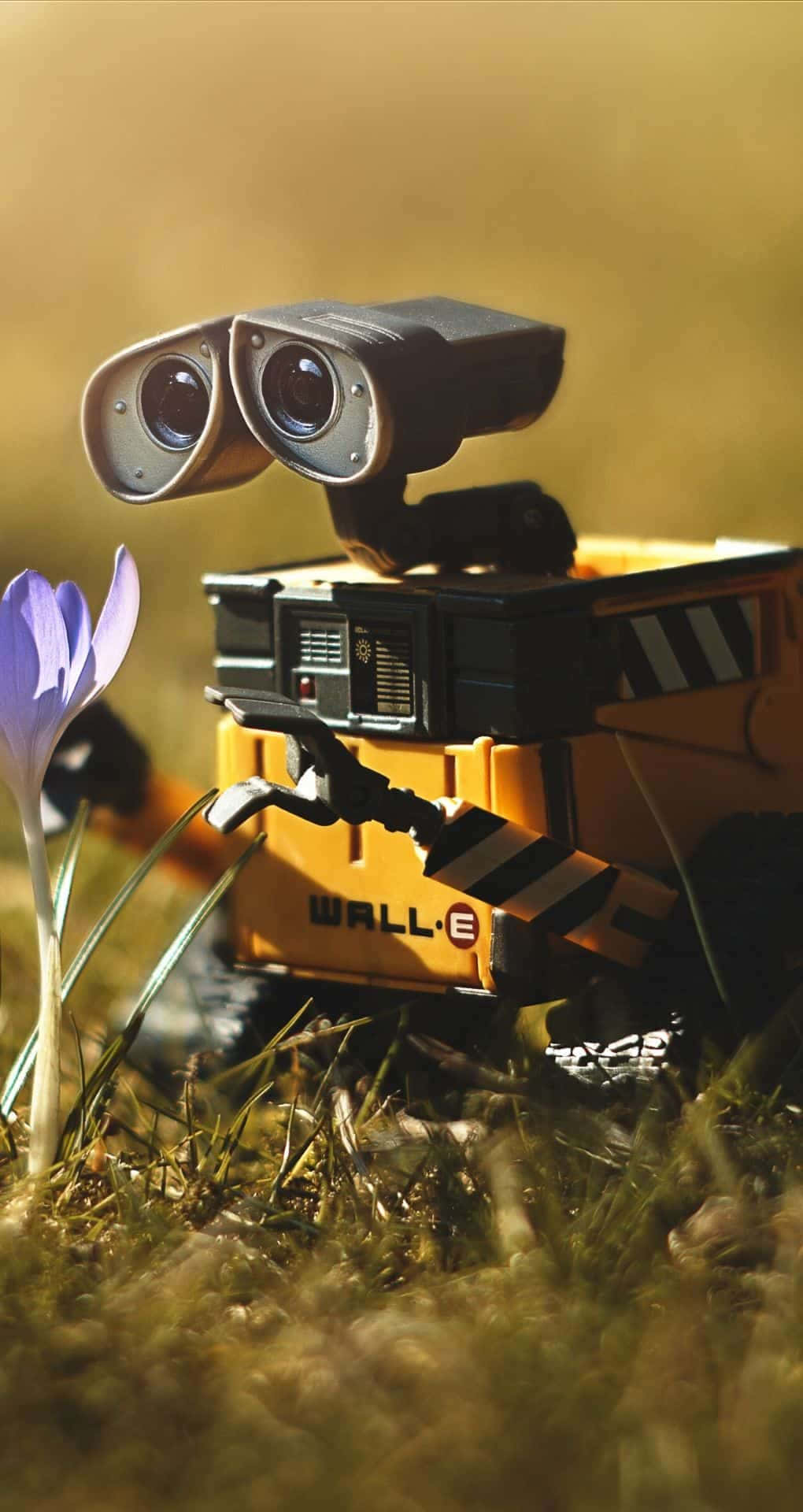 [100+] Papéis de Parede de Wall E Iphone | Wallpapers.com