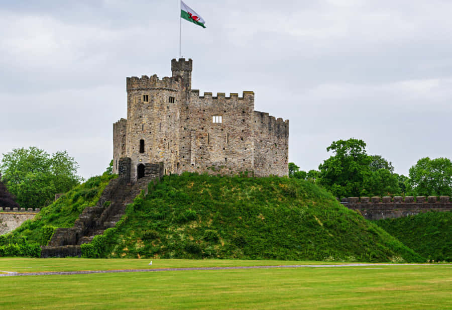 Wallpaper Cardiff Castle Wallpaper